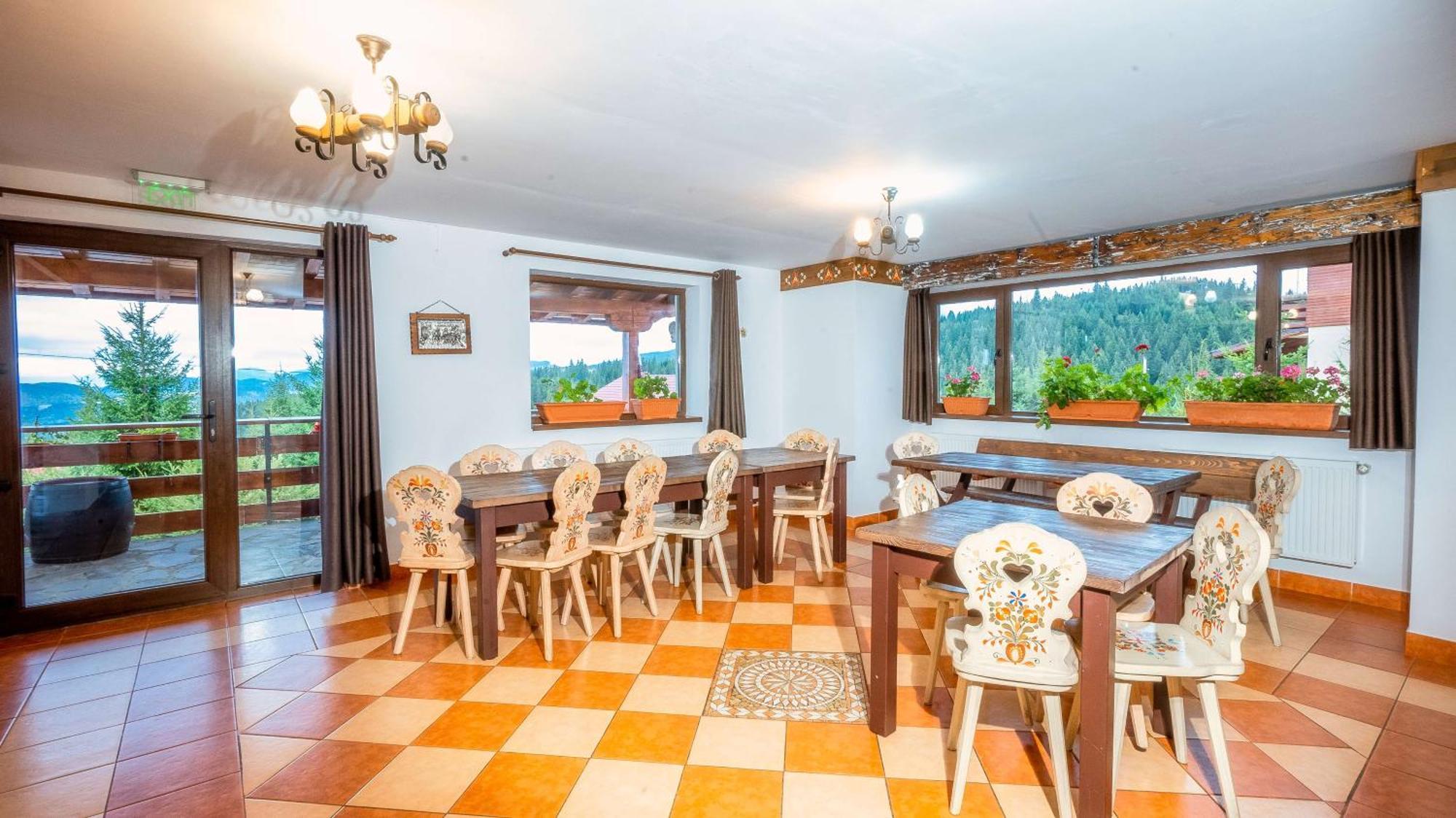Vila Stefana Păltiniş Buitenkant foto