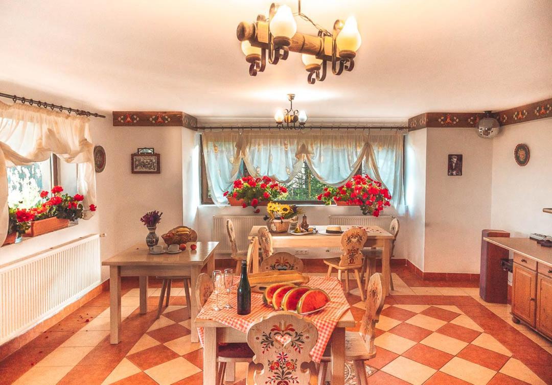 Vila Stefana Păltiniş Buitenkant foto