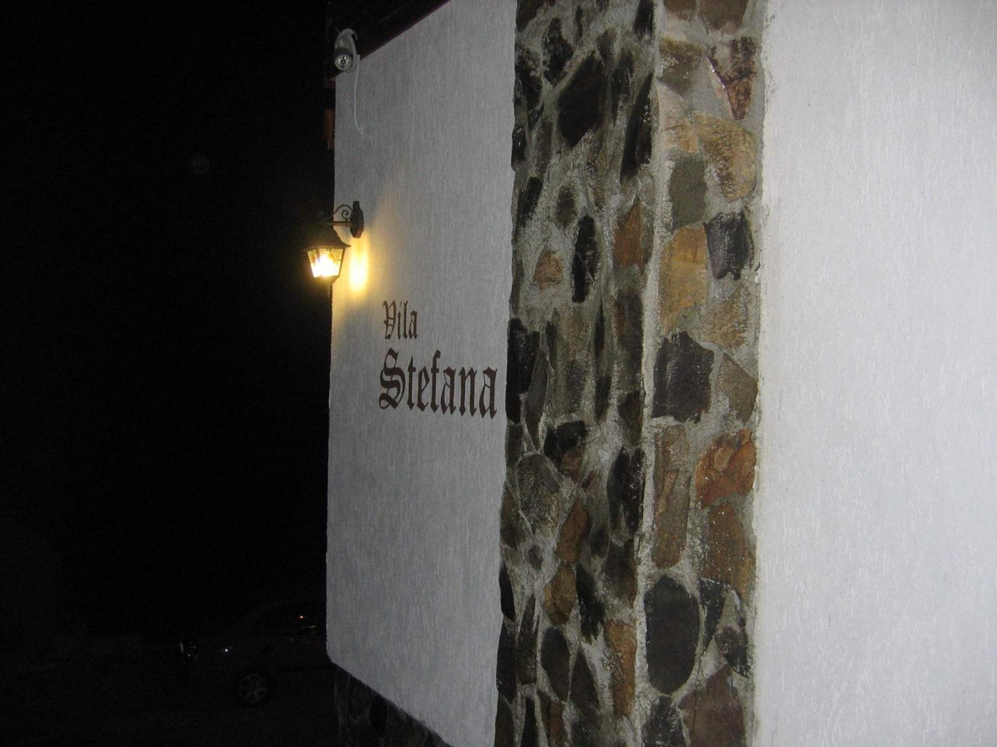 Vila Stefana Păltiniş Buitenkant foto